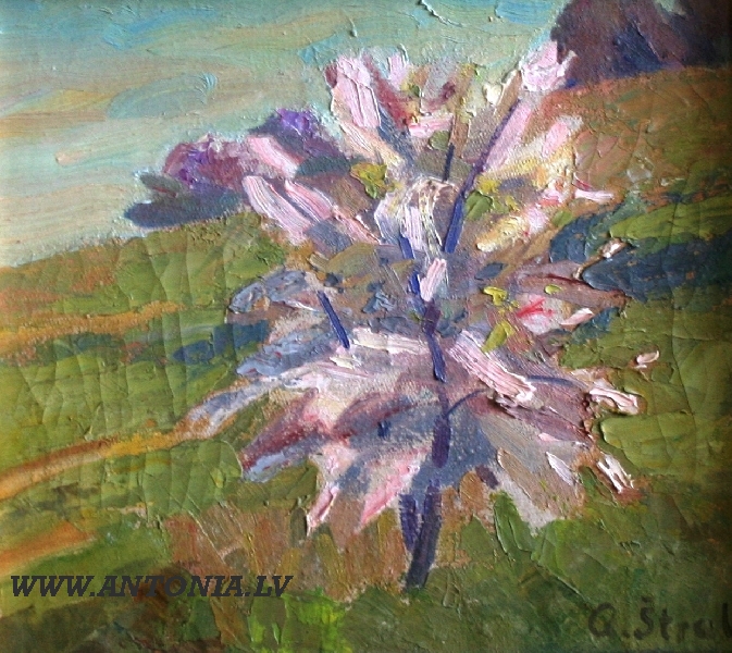 36. Aleksandrs Štrāls (1879 – 1947)