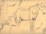 45. Kārlis Miesnieks (1887 – 1977)