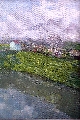115. Янис Паулюкс (1906 – 1984)