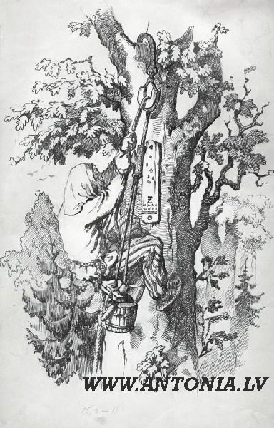 372. Otomija Freiberga / Andersone / (1903-1981)