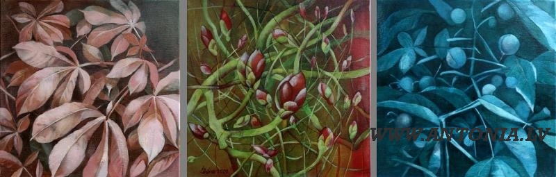 148. Antra Ivdra (1966)