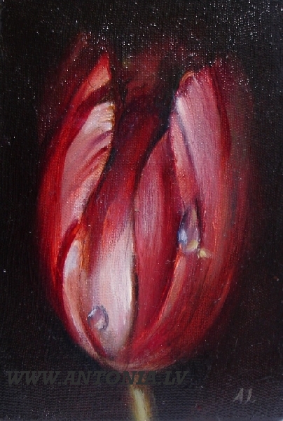 116. Атис Екабсонс (1985)