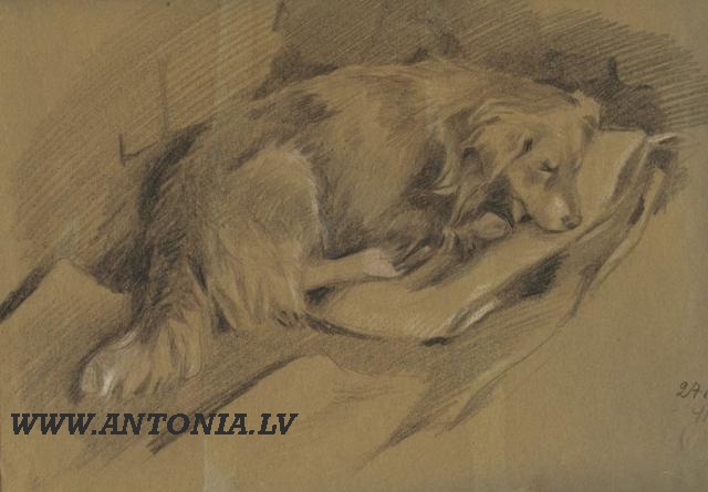 6. Zigurds Gustins (1919-1950)