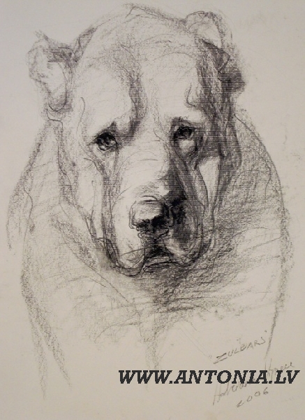 19. Adriana Vignere (1986)