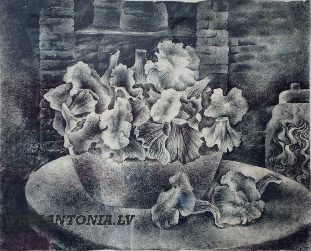 20. Ruta Opmane (1938)