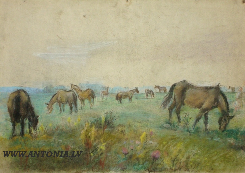 87. Aleksandra Belcova (1892-1981)