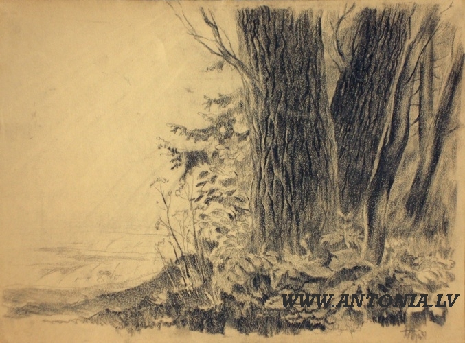 85. Артурс Апинис (1904-1975)
