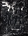 33. Kārlis Cīrulis (1925-1994)