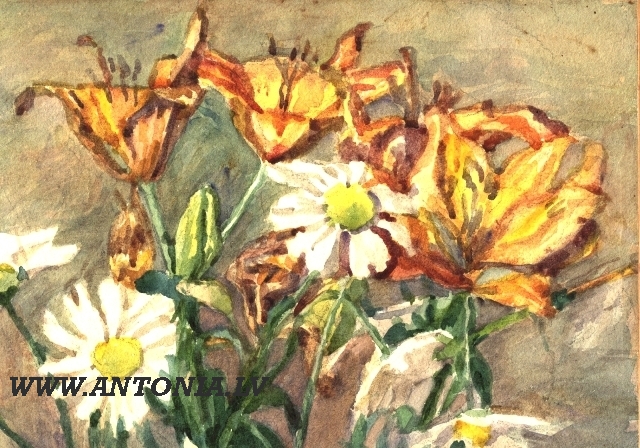 58. Alfreds Plite-Pleita (1888-1921)