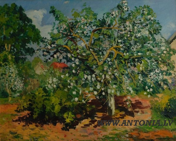 150. Ansis Artums (1908-1997)