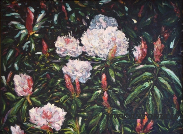 202. Andrejs Bovtovičs