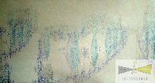 18. Zane Balode (1983)