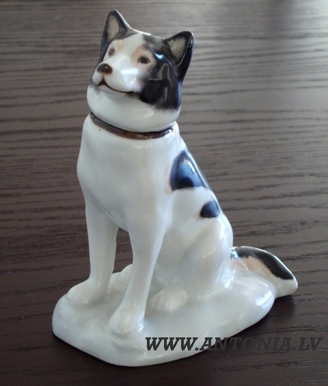 5. A Soviet Porcelain Figure of dog Laika