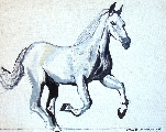 232. Vitauts Almanas (1965-2007) 