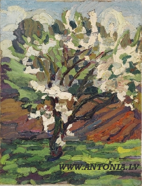 37. Александрс Штралс (1879-1947)