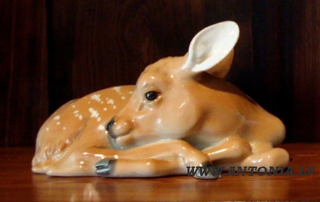 Косуля