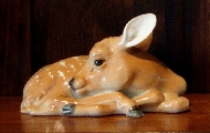 Косуля