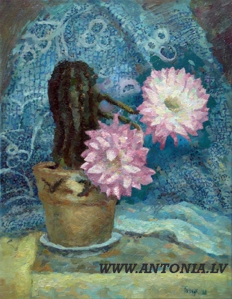 Jeļena Tcaciuc (1983) 