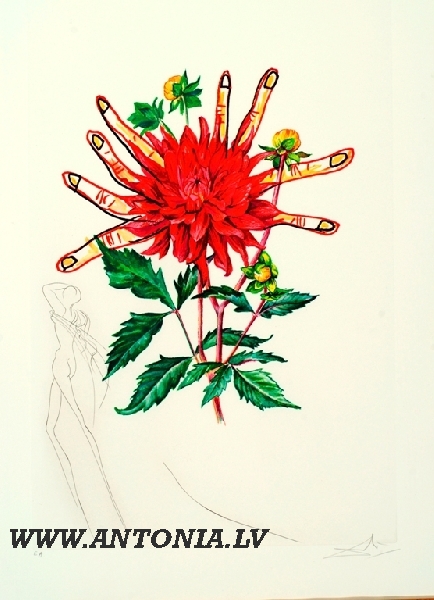 42. Сальвадор Далы (1904 -1989)