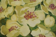 Лилия Кукле (1967)