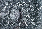 Igors Krilovs (1985)