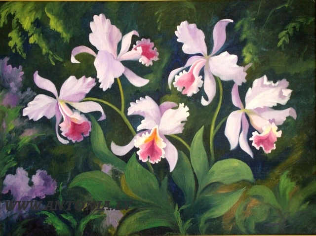 Хуго Карлис Гротусс (1884-1951)