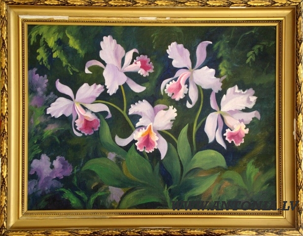 Хуго Карлис Гротусс (1884-1951)