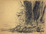 Arturs Apinis (1904-1975)