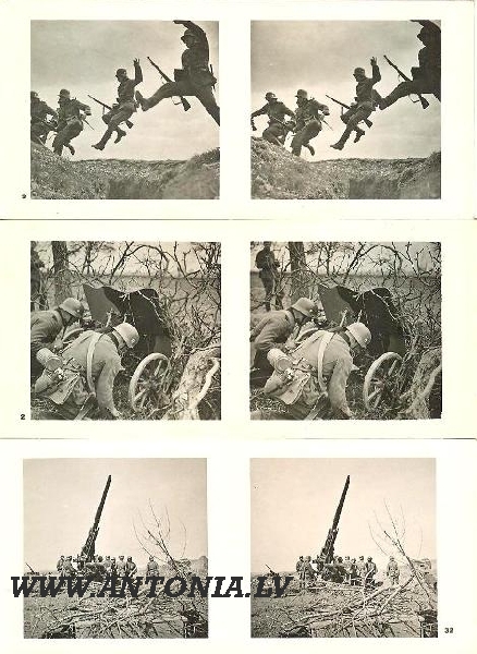 Фотографий