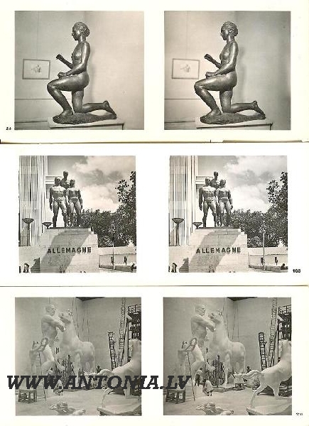 Фотографий