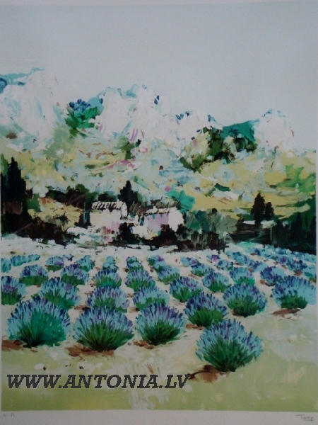 Андре Торре / Andre Torre (1929-1999) 