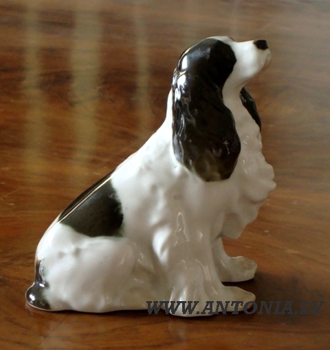 Павел Павлович Веселов (1926-1994) 