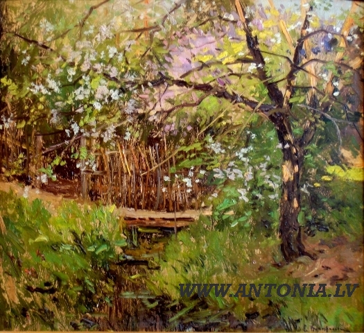 Sergejs Vinogradovs (1869-1938) 