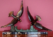 Gulls