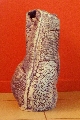 Лаила Пуриня (1963)