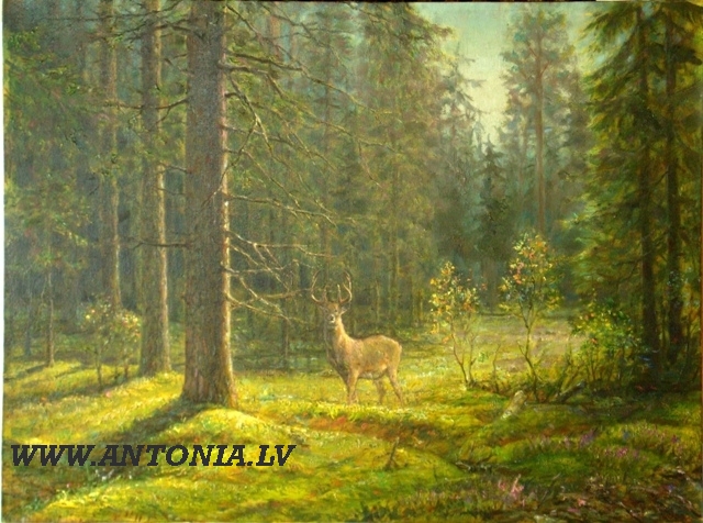 Igor Maikov