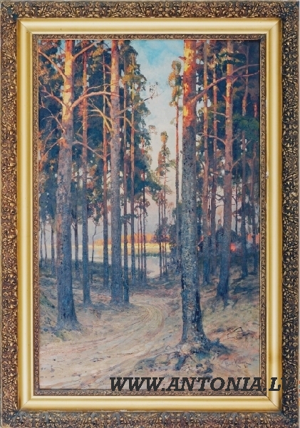 Юлиус Клевер (1850-1924)