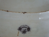 V&B (Villeroy and Boch) Jardiniere 