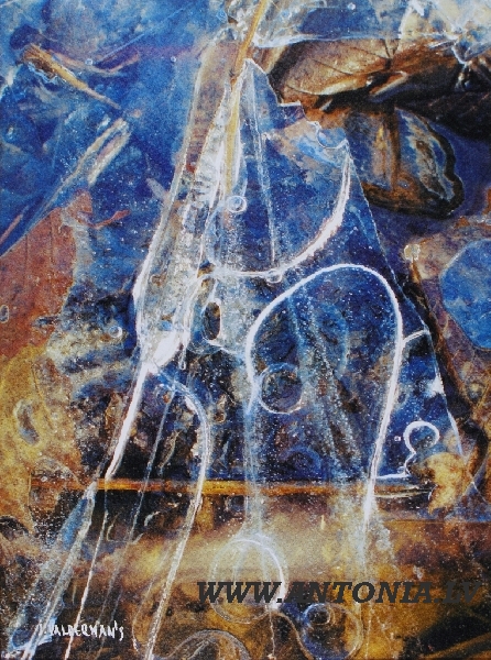 279. Valdemārs Helmanis (1951)