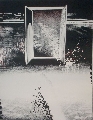 "Window"