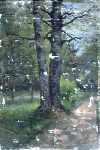 Адамс Алкснис (1864-1897)