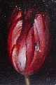 Atis Jakobsons (1985)