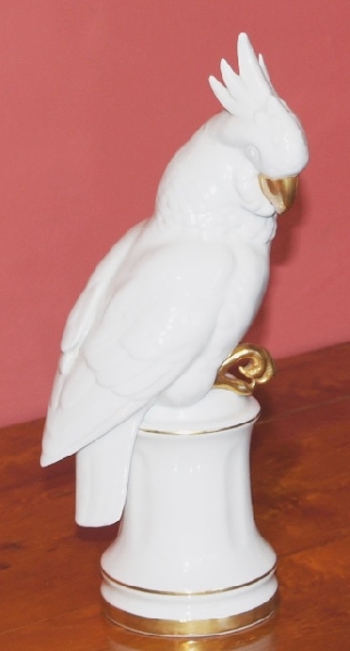 Parrot