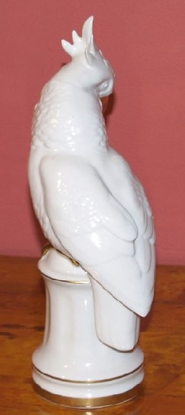 Parrot