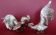 Fighting roosters