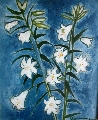 Laimdots Mūrnieks (1922-2011)