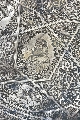 Тарелка из медьи с рисунком