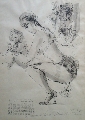 Иева Маркевича Царука (1964)