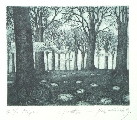 Неле Зирните (1959)