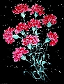 Карлис Цирулис (1925-1994)